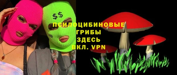 дурь Богородицк