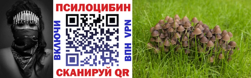 наркошоп  Донецк  Псилоцибиновые грибы Cubensis 